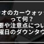 マカオのカーウォッシュって何?概要や注意点について【水曜日のダウンタウン】